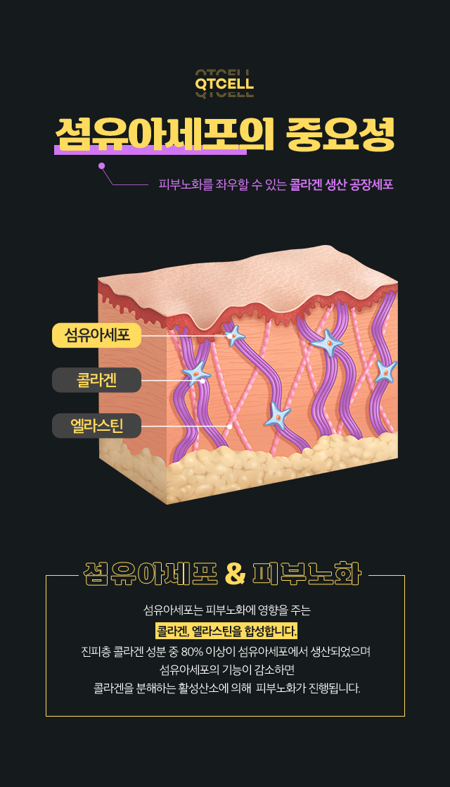 큐티셀